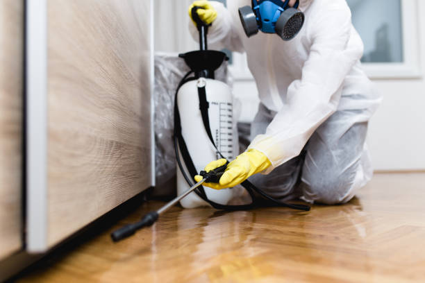Best Pest Removal Services  in Plymouth, PA
