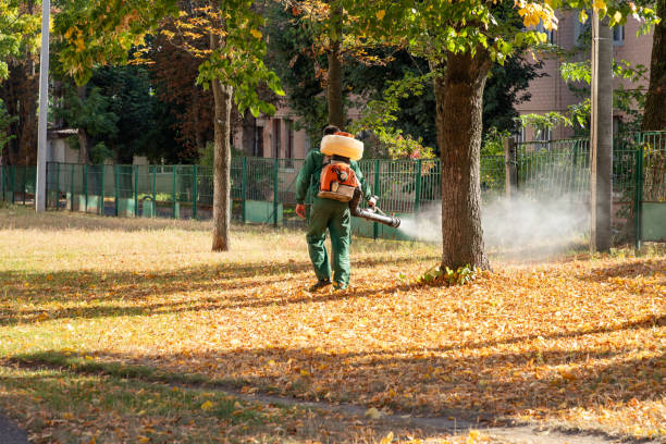 Pest Control for Restaurants in Plymouth, PA